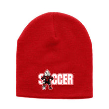 RRSC Beanie [D2]