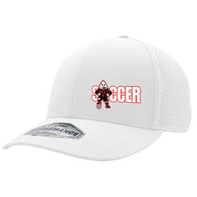 RRSC Performance Cap [D2]